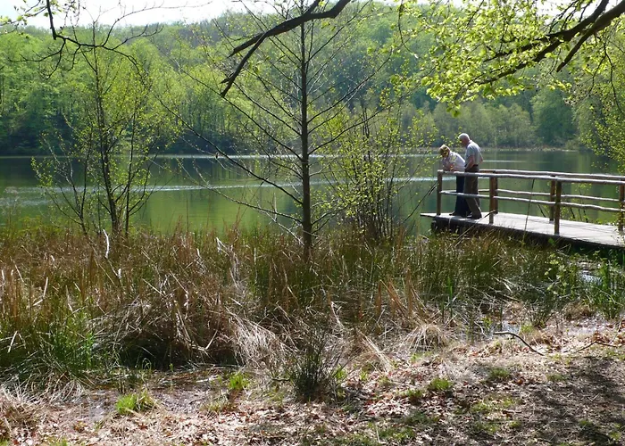 Luetje 516 By Interhome Sellin (Rugen)