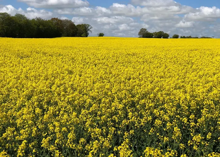 Apartmán Luetje 516 By Interhome *