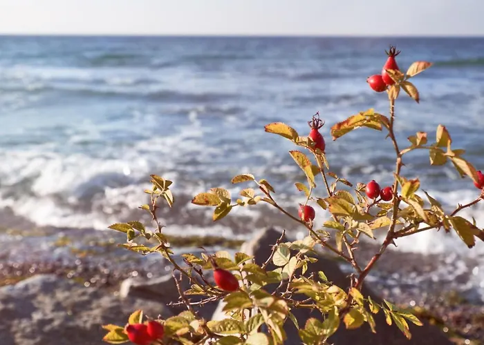 Luetje 516 By Interhome *